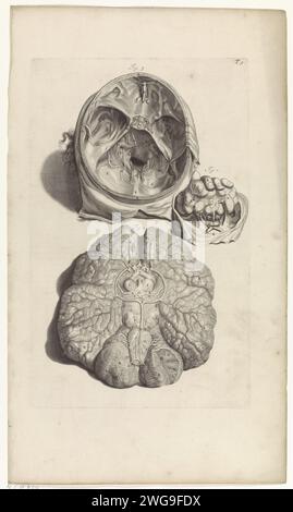 Anatomische Untersuchung der Schädelinnenseite und des Gehirns, Pieter van Gunst, nach Gerard de Lairesse, 1685 drucken zwei Aufführungen. Oben: Anatomische Untersuchung der Schädelinnenseite. Unten: Anatomische Untersuchung des Gehirns. Oben rechts mit der Nummer T 9. Amsterdamer Papiergravurgehirn. Kopf (intern) Stockfoto