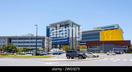 Southern Cross University, Gold Coast Campus, Queensland, Australien Stockfoto