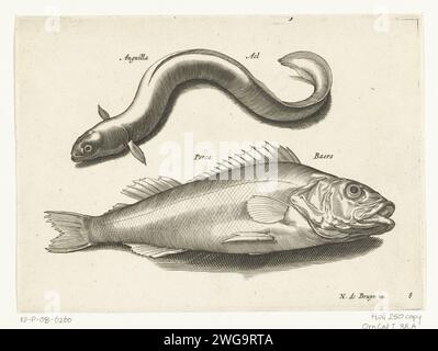 AAL and Baars, Anonym, nach Nicolaes de Bruyn, 1581 - 1652 Druckpapier, das Fische graviert Stockfoto