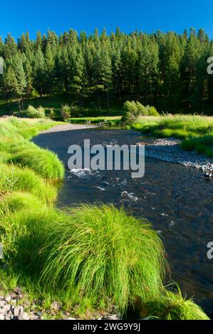 Middle Fork John Day River, Dunstan Homestead Preserve, Oregon Stockfoto