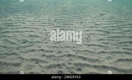 Sandiger, weißer Boden mit Sonnenschein am Morgen. Natürlicher Hintergrund aus der Unterwassertiefe, Rotes Meer, Ägypten Stockfoto