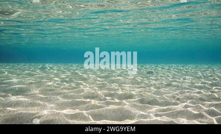 Sandiges, flaches Wasser in der Sonne und Blendung auf dem Meeresboden. Sonnenlicht durchdringt die Oberfläche von türkisfarbenem Wasser und blendet auf sandigem Boden in flacher Umgebung Stockfoto