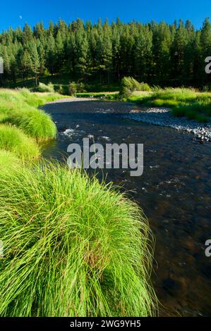 Middle Fork John Day River, Dunstan Homestead Preserve, Oregon Stockfoto