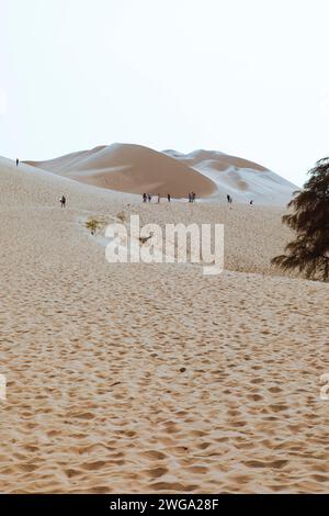 Dünenlandschaft, Laguna de Huacachina Oase, Ica, Region Ica, Provinz Ica, Peru Stockfoto