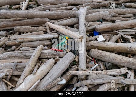 Treibholz- und Kunststoffabfälle, Drangsnes, Strandir, Arnes, Westfjorde, Island Stockfoto