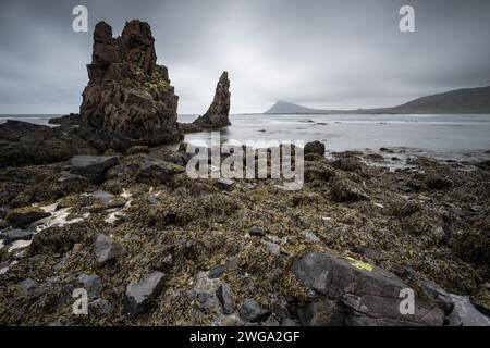 Markante Felsen an der Küste, Reykjarfjoerour, Strandir, Arnes, Westfjorde, Island Stockfoto