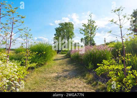 Pfad durch den Garten Stockfoto