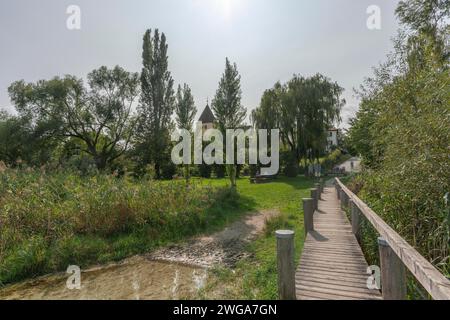 Oberzell, Insel Reichenau, Pfarrkirche St. Georg, UNESCO-Weltkulturerbe, Holzsteg, Schilfbank, Hintergrundbeleuchtung, Bodensee Stockfoto