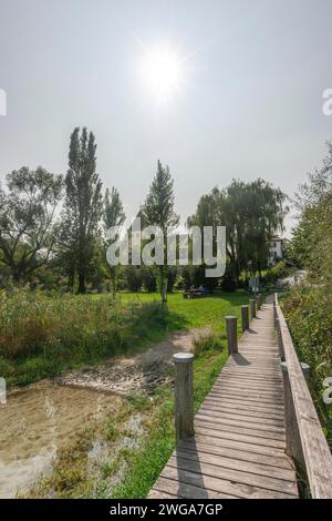 Oberzell, Insel Reichenau, Pfarrkirche St. Georg, UNESCO-Weltkulturerbe, Holzsteg, Schilfbank, Hintergrundbeleuchtung, Bodensee Stockfoto