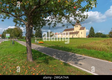 Oberzell, Insel Reichenau, St. George's Parish Church, UNESCO-Weltkulturerbe, Kürbisverkauf, Herbst, Apfelbaum, Felder, Bodensee Stockfoto