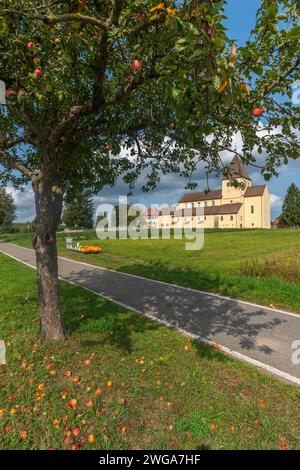 Oberzell, Insel Reichenau, St. George's Parish Church, UNESCO-Weltkulturerbe, Kürbisverkauf, Herbst, Apfelbaum, Felder, Bodensee Stockfoto