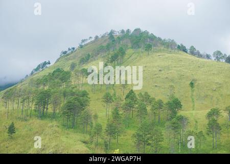 Grüne Hügel rund um den Lake Toba, Nord-Sumatra Stockfoto