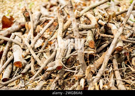 Vollbild-Hintergrund. Ein Holzhaufen vor dem Bauernhof, der für ein Lagerfeuer verwendet wird. Stockfoto