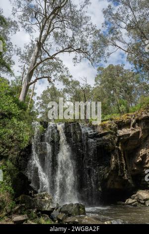 Phantom Falls, am St George River, Great Otway National Park, Lorne, Victoria, Australien. Stockfoto