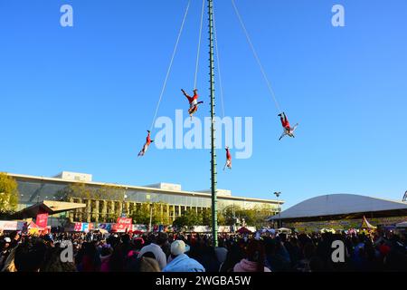 LEON, MEXIKO - 3. FEBRUAR. Voladores de Papantla - Papantla Flyers - Durchführung eines antiken Totonaca-Ritual von 600 v. Chr. an Göttern, um ein langes Leben, Wohlbefinden und Wohlstand zu erhalten, von El Tajin, Papantla, Veracruz, Mexiko während der Feria de Leon am Heritage Plaza am 3. Februar 2024 in Leon, Mexiko. (Quelle: JVMODEL/Alamy Live News Stockfoto