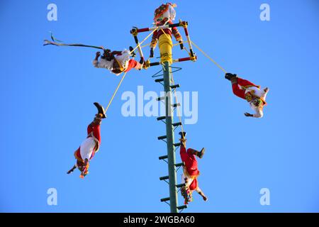 LEON, MEXIKO - 3. FEBRUAR. Voladores de Papantla - Papantla Flyers - Durchführung eines antiken Totonaca-Ritual von 600 v. Chr. an Göttern, um ein langes Leben, Wohlbefinden und Wohlstand zu erhalten, von El Tajin, Papantla, Veracruz, Mexiko während der Feria de Leon am Heritage Plaza am 3. Februar 2024 in Leon, Mexiko. (Quelle: JVMODEL/Alamy Live News Stockfoto