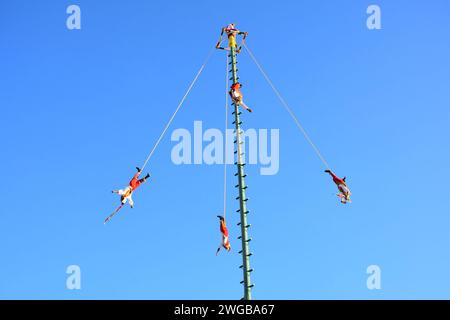 LEON, MEXIKO - 3. FEBRUAR. Voladores de Papantla - Papantla Flyers - Durchführung eines antiken Totonaca-Ritual von 600 v. Chr. an Göttern, um ein langes Leben, Wohlbefinden und Wohlstand zu erhalten, von El Tajin, Papantla, Veracruz, Mexiko während der Feria de Leon am Heritage Plaza am 3. Februar 2024 in Leon, Mexiko. (Quelle: JVMODEL/Alamy Live News Stockfoto