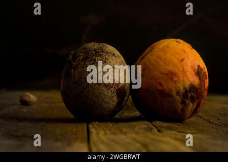 Stilleben der schönen Kunst aus Italien Stockfoto