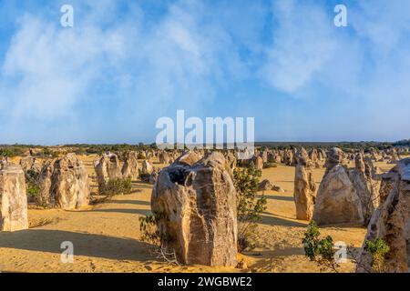 Die Pinnacles Kalksteinformationen, Nambung National Park, Western Australia, Australien Stockfoto