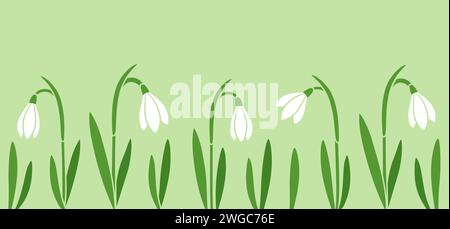 Schneeglöckchen Blumen, süßes Frühlingsbanner auf grünem Hintergrund. Einfache flache Zeichentrickvektorillustration. Stock Vektor