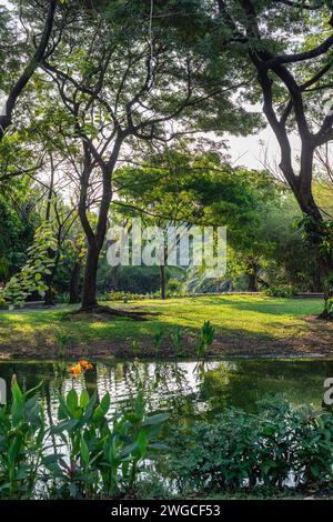 Suan Luang Rama IX, (Rama IX Park), öffentlicher Park im Prawet District, Bangkok, Thailand Stockfoto