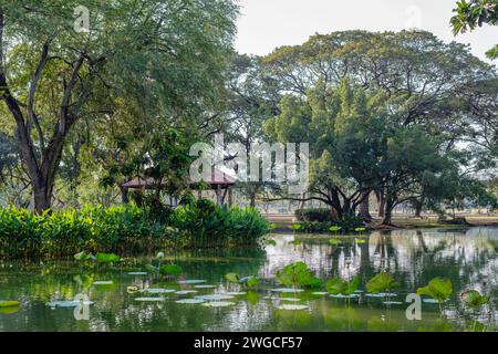 Suan Luang Rama IX, (Rama IX Park), öffentlicher Park im Prawet District, Bangkok, Thailand Stockfoto