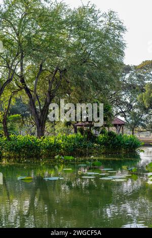 Suan Luang Rama IX, (Rama IX Park), öffentlicher Park im Prawet District, Bangkok, Thailand Stockfoto