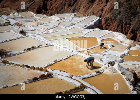 Arbeiter sammeln Salz aus den Pfannen von Salineras bei Maras, Peru Stockfoto