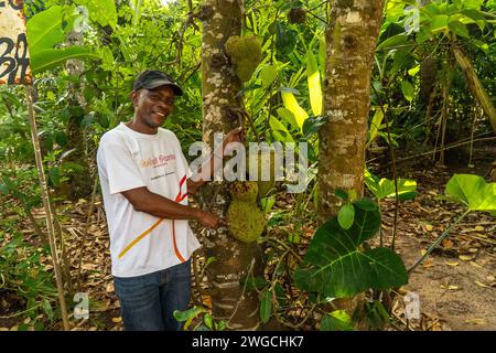 Zanzibari, ein Kerl in der Nähe eines Jackfruit-Baumes mit einer Frucht Stockfoto