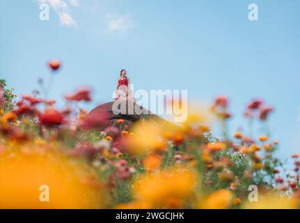 Fröhliche, schöne asiatische Frau, die auf dem Felsen zwischen der Strohblume oder der ewigen Blume steht, die auf dem Feld im Phu hin Rong KLA National PA blüht Stockfoto