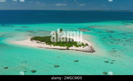 Tropischer Inselstrand mit Korallenriff kristallklarem türkisfarbenem Wasser. Frau zurück Blick im Meer stehend genießen Sie wunderschöne wilde Naturlandschaft. Gelbes Kajak. Sommerferien. Drohnenaufnahme Stockfoto