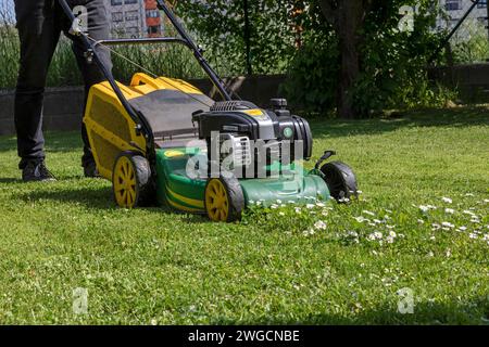 Rasenmähen, Gartenarbeiten Stockfoto