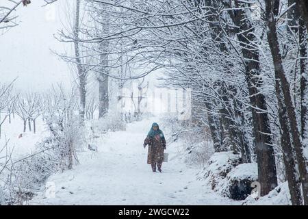 Srinagar, Jammu Und Kaschmir, Indien. Februar 2024. Eine Kaschmirfrau spaziert in Srinagar durch eine schneebedeckte Straße. Mehrere Teile Kaschmirs, darunter auch die Stadt Srinagar, erhielten am Samstag Neuschnee, da die Wetterabteilung für die nächsten 48 Stunden mittelschweren bis starken Schneefall im Tal vorhersagte. Darüber hinaus haben die Behörden Lawinenwarnungen in hügeligen und bergigen Gebieten der Region ausgegeben. (Credit Image: © Faisal Bashir/SOPA Images via ZUMA Press Wire) NUR REDAKTIONELLE VERWENDUNG! Nicht für kommerzielle ZWECKE! Quelle: ZUMA Press, Inc./Alamy Live News Stockfoto