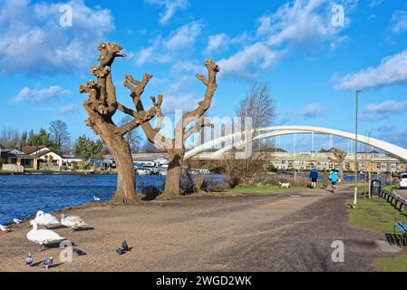 Der Fluss bei Walton auf der Themse mit der Straßenbrücke im Hintergrund an einem sonnigen Wintertag Surrey England UK Stockfoto