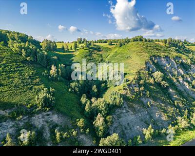 Das steile Ufer des Flusses ist dicht bewachsen mit Wald und Büschen, ein Blick von einer Höhe des Ufers bedeckt mit Grün Stockfoto