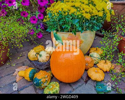 Jack-Laternen Leuchten Im Mondlicht In Der Gruseligen Nacht - Halloween-Szene. Stockfoto