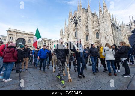 Mailand, Italien. Februar 2024. Foto Stefano Porta/LaPresse04-02-2024 Milano, Italia - Cronaca - Allevatori in protesta portano auf der Piazza del Duomo una mucca Februar 04, 2024 Mailand, Italien - Nachrichten - Proteste Bauern bringen eine Kuh auf die Piazza del Duomo Credit: LaPresse/Alamy Live News Stockfoto