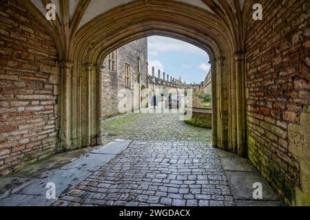 Junge weibliche Chorin in der Kathedrale am 4. Februar 2024 in Wells, Somerset, Großbritannien Stockfoto