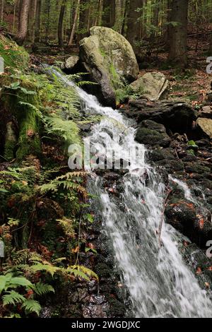 Impressionen aus Bodenmais im Bayerischen Wald Stockfoto