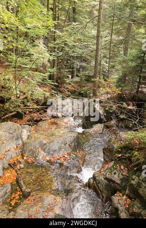 Impressionen aus Bodenmais im Bayerischen Wald Stockfoto