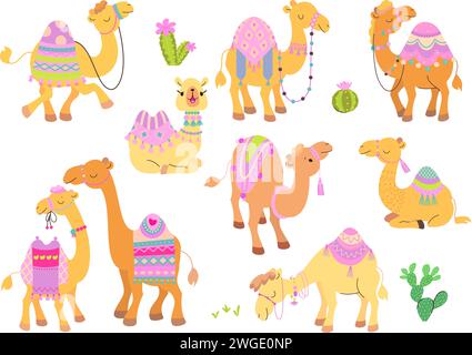 Camels Charaktere Zeichentrickset. Wüstentiere, lustiges Kamel mit Teppich und Sattel. Arabisches Tier, Kinder süße heutzutage Vektor-Sammlung Stock Vektor