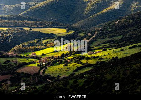 Feldzüge im Südwesten Sardiniens. Stockfoto