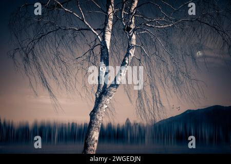 ZEITGENÖSSISCHE FOTOGRAFIE: Abend im Loisach-Kochel Moor bei Sindeldorf, Oberbayern, Deutschland von Edmund Nagele FRPS Stockfoto