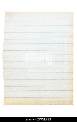 Vergilbtes, liniertes Blatt Papier, das aus einem alten Notizbuch gerissen wurde. Isoliert auf weißem Hintergrund. Stockfoto