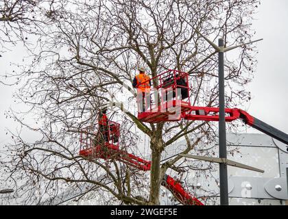 - 1. Februar 2024 - Paris Frankreich-Champs-Elysées-Arbeiter arbeiten in hohen Bäumen mit Kranichen, um Weihnachtsdekorationen zu entfernen Stockfoto