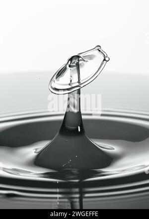 Schwarzweiß-Splash-Art mit hoher Taste, Makrofotografie mit Wasserkollision Stockfoto