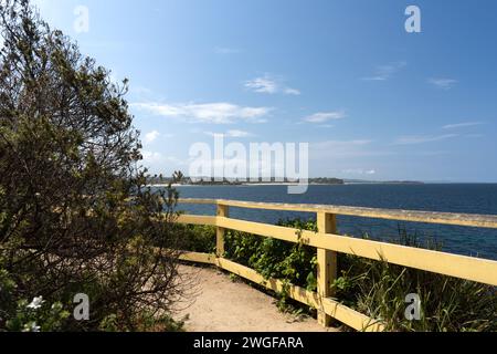 Blick auf den Shelly Beach Walking Track über Manly zum Freshwater Beach Stockfoto