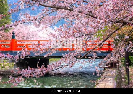 Kyoto, Japan - 2. April 2023: Bootstour auf dem Okazaki Jikkokubune, 3 km vom Nanzenji-Bootsanleger zum Ebisu-Staudamm und hin- und Rückfahrt Stockfoto