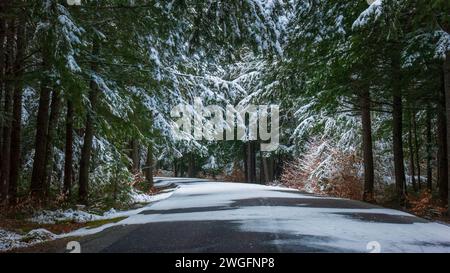 Die Zufahrtsstraße zum Peaks-Kenny State Park in Maine führt durch einen Fichtenwald. Eine schneebedeckte Landschaft nach dem ersten Wintersturm. Stockfoto