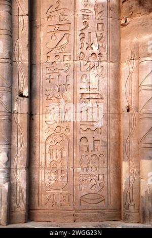 Altägyptische Hieroglyphen auf Steinmauer, com Ombo Tempel der Götter Horus und Krokodilkopf Sobek, Ägypten, Nordafrika. Com-Ombo Tempelwand und c Stockfoto